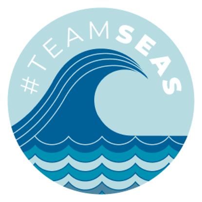 Teamseas Logo